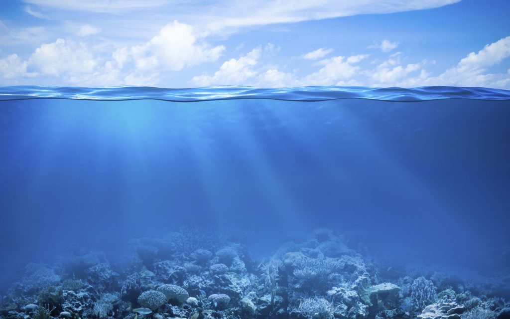 Ocean surface split view with a sunlit reef below