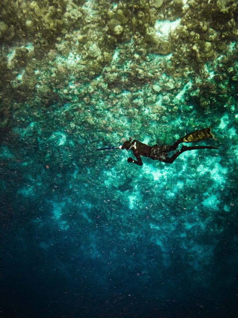 Scuba diver exploring the underwater world
