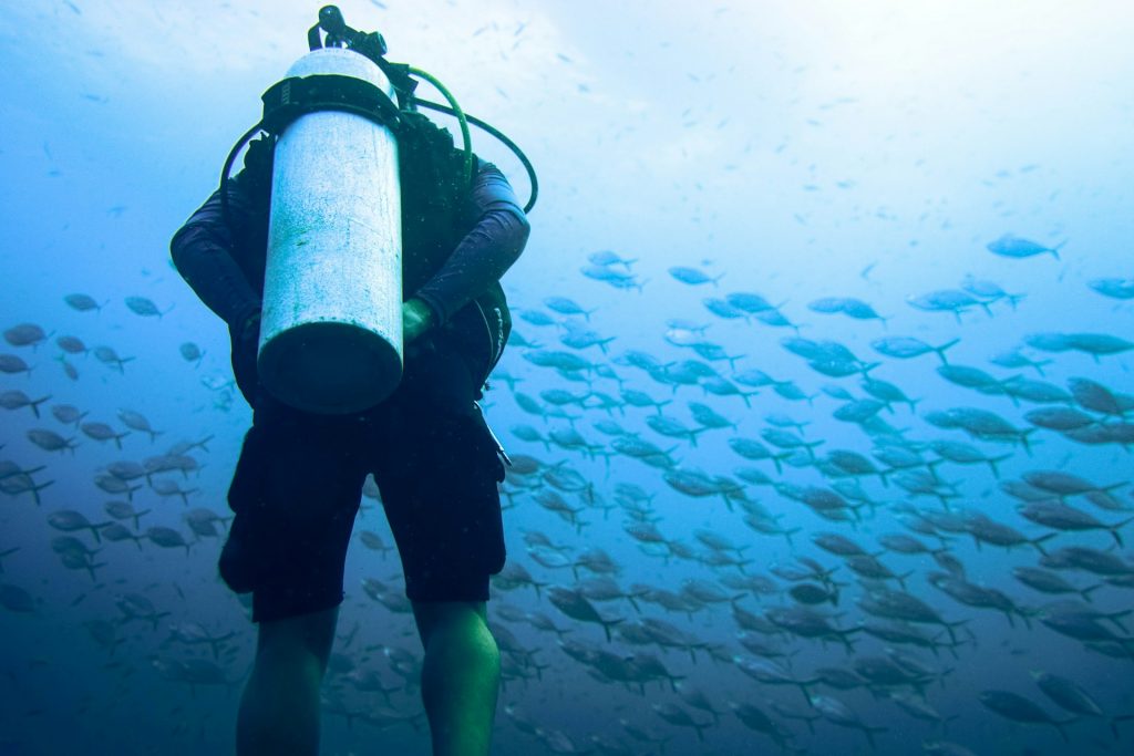 Diver hovering beside a school of fish