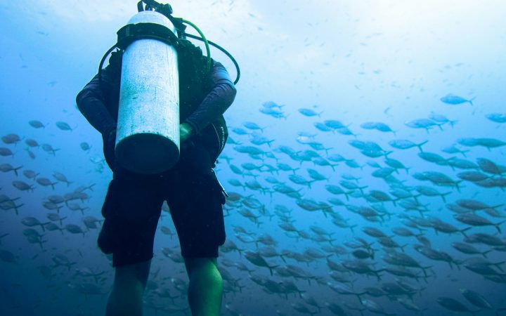 Spearfishing With a Camera: How to Film Your Hunts Hands-Free, Safely and Legally