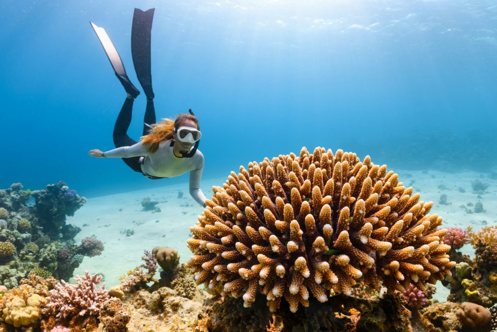 Scuba diver hovering in good trim over a coral reef