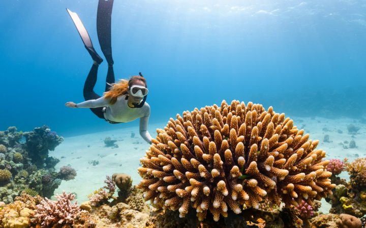 How to Mount a GoPro on Your Scuba Regulator: Step-by-Step Guide