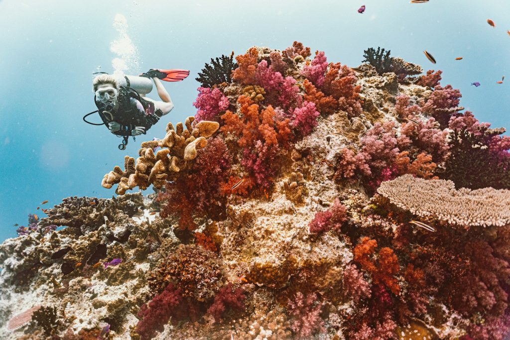 Diver gliding over a colorful coral reef in shallow water